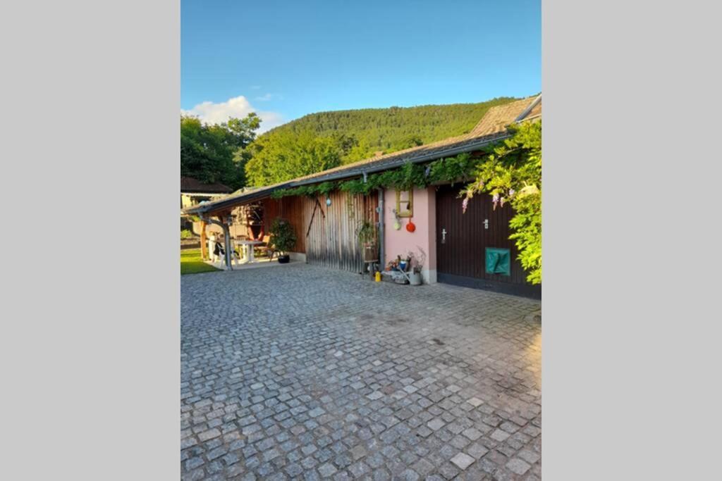 Charmant Petit Appartement Avec Bel Exterieur. Saint-Amarin ภายนอก รูปภาพ